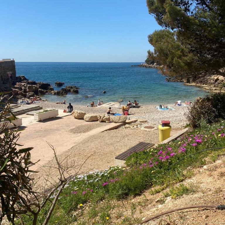 Bandol A Bandol cha cha cha - Appartement - Chambre Double - Vue sur Parc - 33