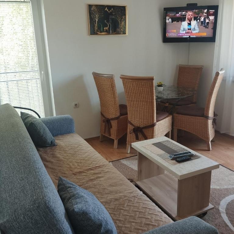 Apartman Sokobanja Borići - Apartment with Terrace - 3