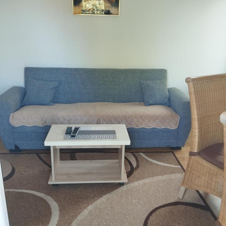 Apartman Sokobanja Borići - Apartment with Terrace - 7