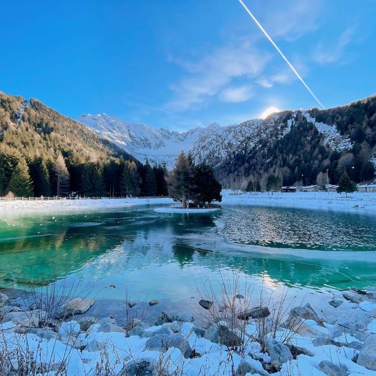 Biancaneve - 300 Metri dalle Piste, Free Parking e Wi-Fi - Appartamento con Vista Montagna - 6
