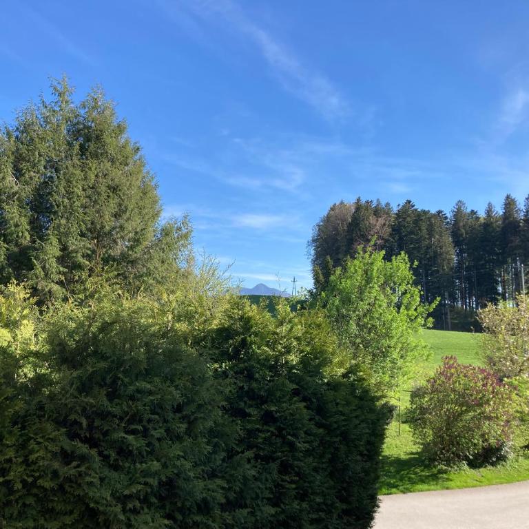 Obereggut - Deluxe Apartment mit 2 Schlafzimmern und Gartenblick - 39