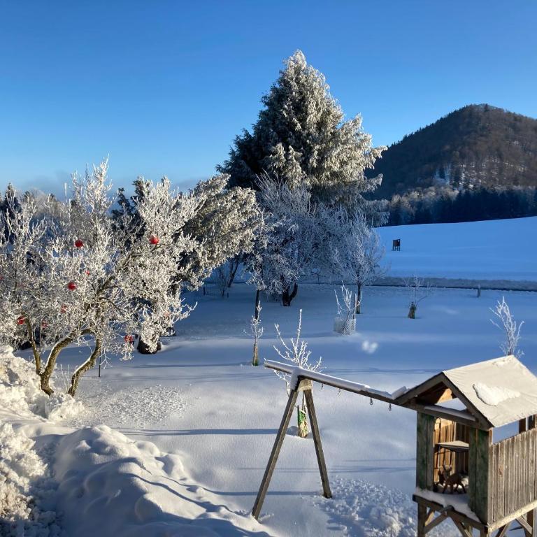 Obereggut - Deluxe Apartment mit 2 Schlafzimmern und Gartenblick - 22