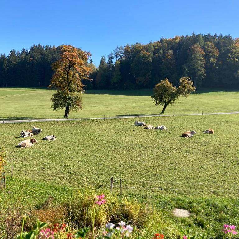 Obereggut - Deluxe Apartment mit 2 Schlafzimmern und Gartenblick - 52
