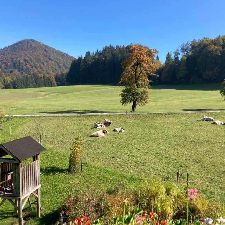 Obereggut - Deluxe Apartment mit 2 Schlafzimmern und Gartenblick - 57