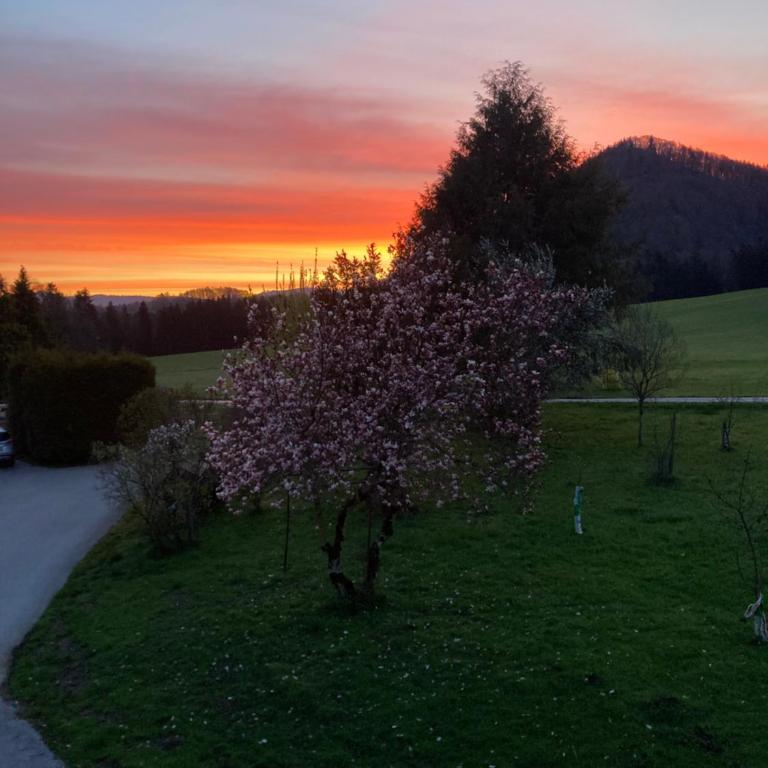 Obereggut - Deluxe Apartment mit 2 Schlafzimmern und Gartenblick - 40