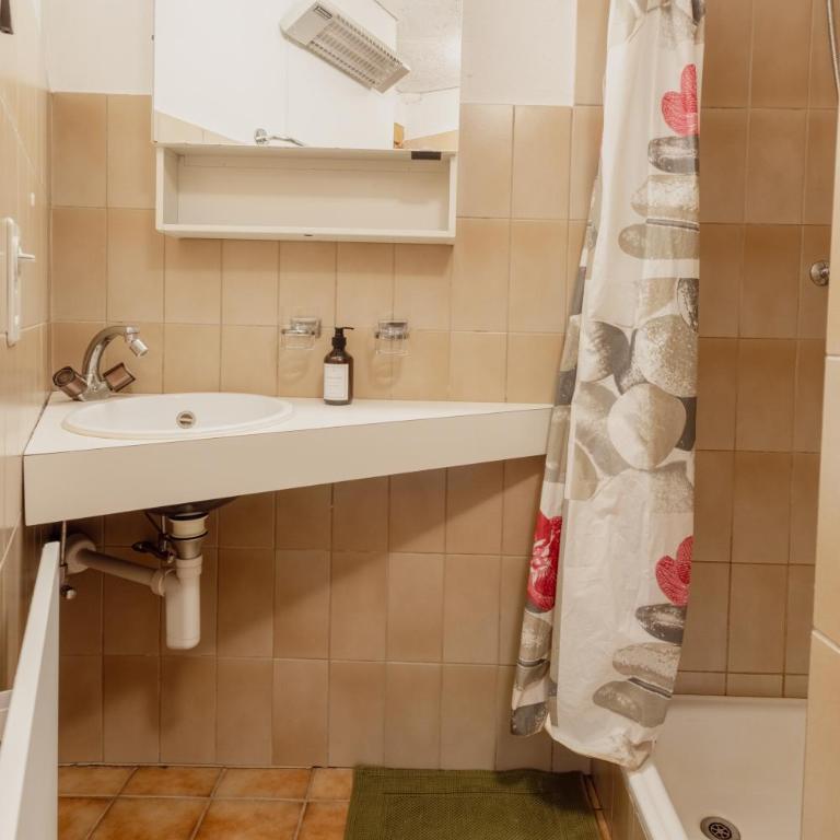 Studio avec vue sur les montagnes - Apartment mit 1 Schlafzimmer - 9