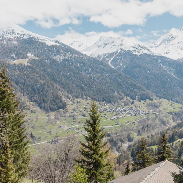 Studio avec vue sur les montagnes - Apartment mit 1 Schlafzimmer - 2