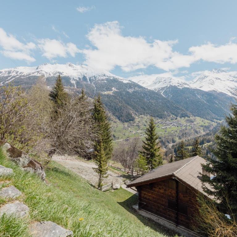 Studio avec vue sur les montagnes - Apartment mit 1 Schlafzimmer - 14