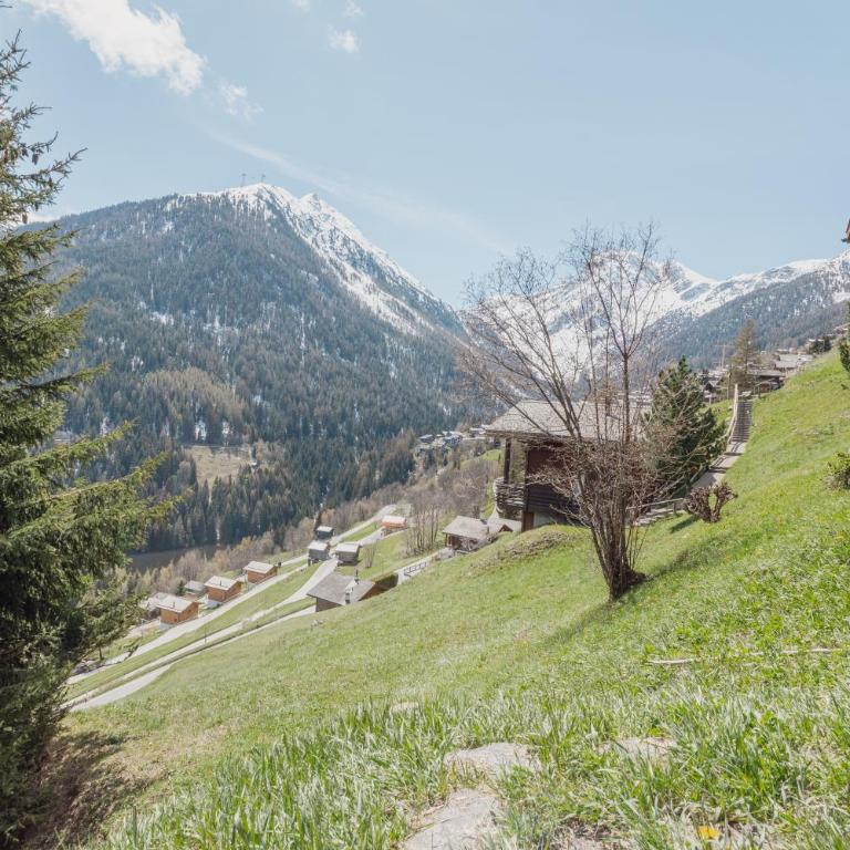 Studio avec vue sur les montagnes - Apartment mit 1 Schlafzimmer - 15