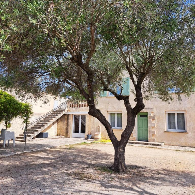 Magnifique T4 Uzès au calme - Appartement 3 Chambres - 33