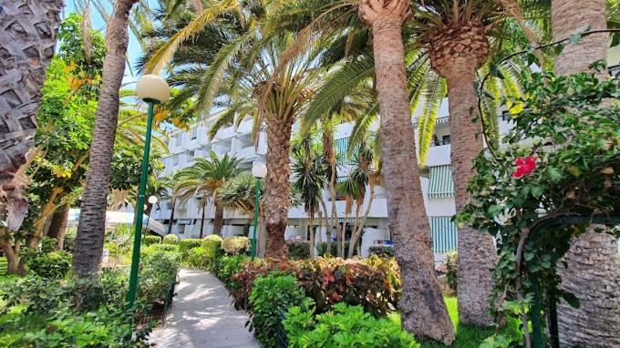 Surycan El Dorado 5th floor Apartment - One-Bedroom Apartment - 41