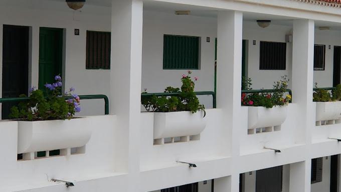 Surycan El Dorado 5th floor Apartment - One-Bedroom Apartment - 43
