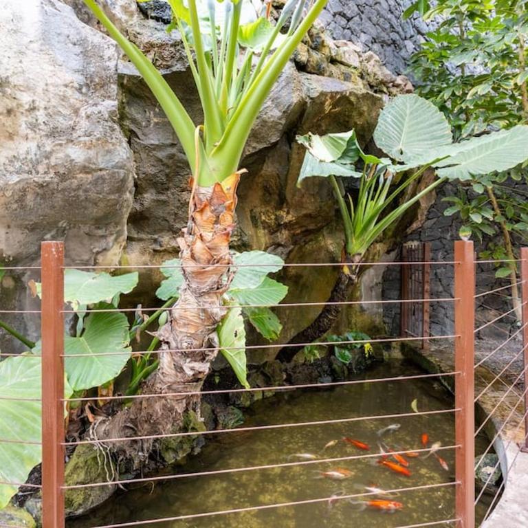 Garden Serenity Retreat And Workspace With Heated Pools And Gym - Apartamento de 2 dormitorios - 37