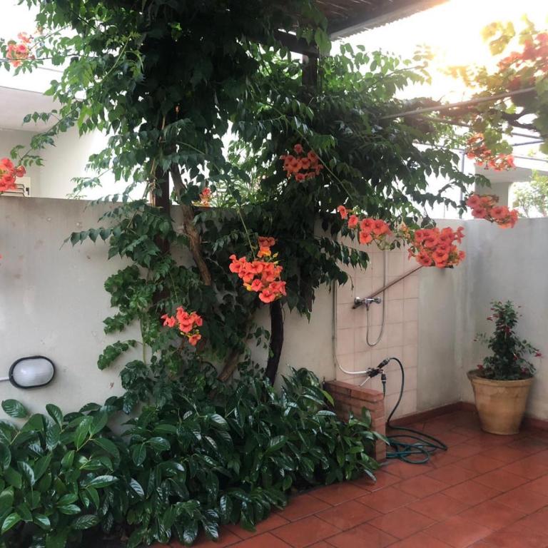 Residenza villetta smeraldo in baia verde - Casa con 2 Camere da Letto - 5