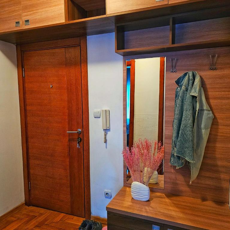 Apartman Jovanovic - Apartman sa 1 Spavaćom Sobom - 5