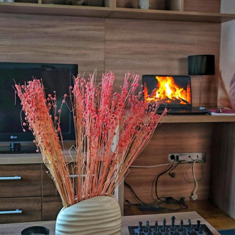 Apartman Jovanovic - Apartman sa 1 Spavaćom Sobom - 4