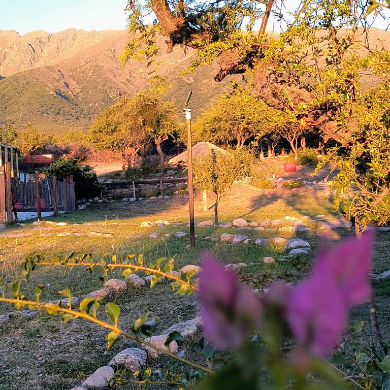 San Luis Aparts - Apartment with Mountain View - 6