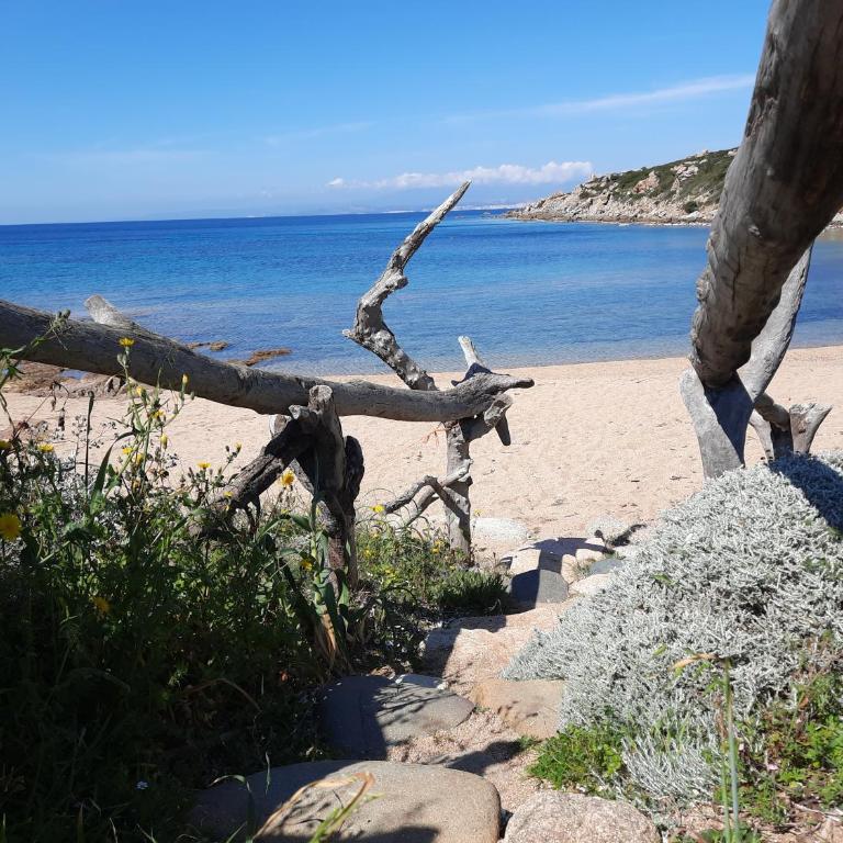 Porto Quadro vista Mare e vista Corsica - Two-Bedroom House - 1