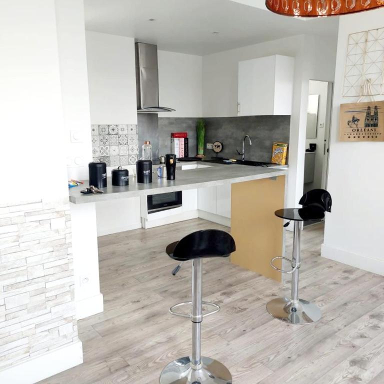 Appartement Orleans Centre - Maison 1 Chambre - 1