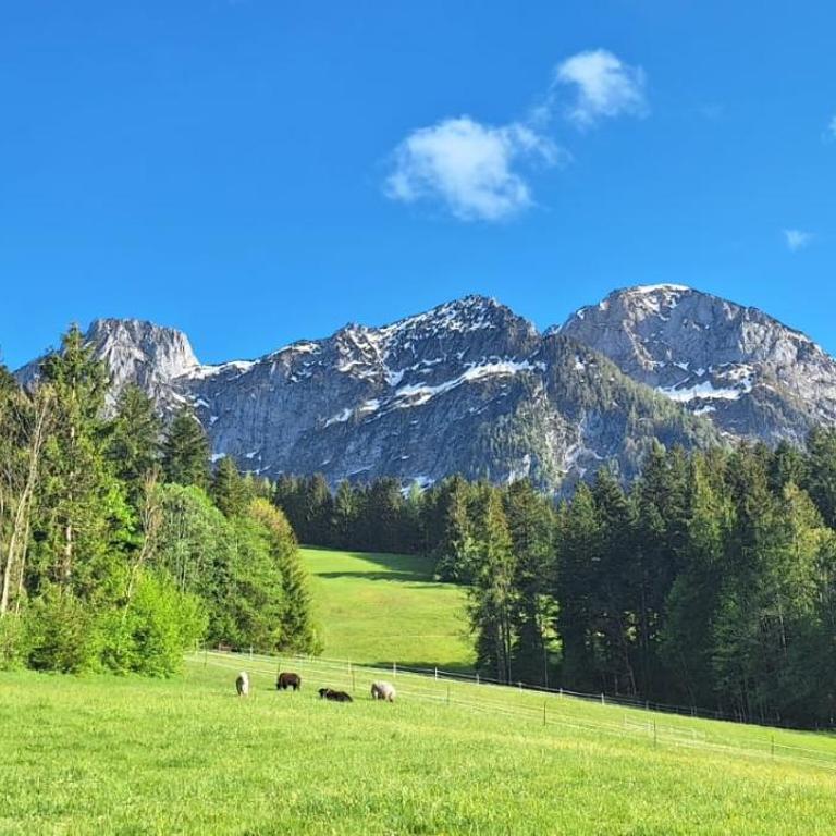 Haus Wallinger - Apartment mit Blick auf die Berge - 16