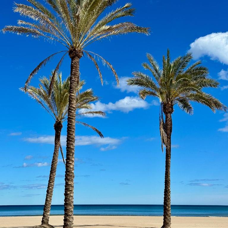 Apartamento mar&menta - One-Bedroom Apartment - 27