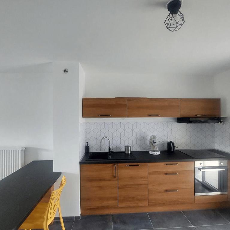Appartement avec terrasse LO du Lac - Paladru - Appartamento con 1 Camera da Letto - 3