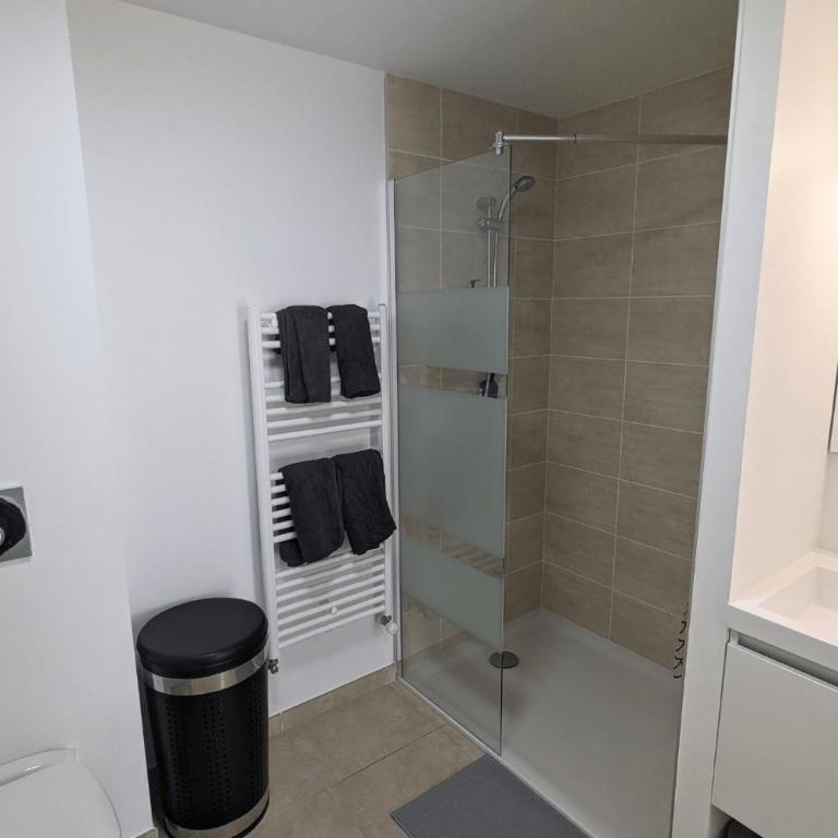 Appartement avec terrasse LO du Lac - Paladru - Appartamento con 1 Camera da Letto - 6