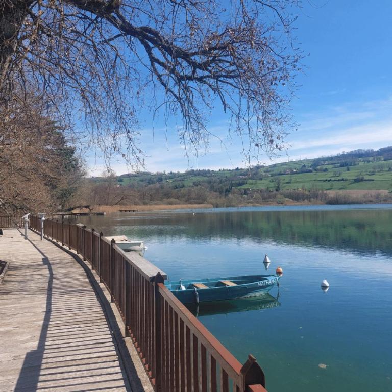 Appartement avec terrasse LO du Lac - Paladru - Appartamento con 1 Camera da Letto - 7