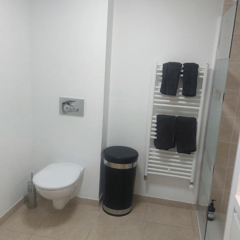 Appartement avec terrasse LO du Lac - Paladru - Appartamento con 1 Camera da Letto - 8