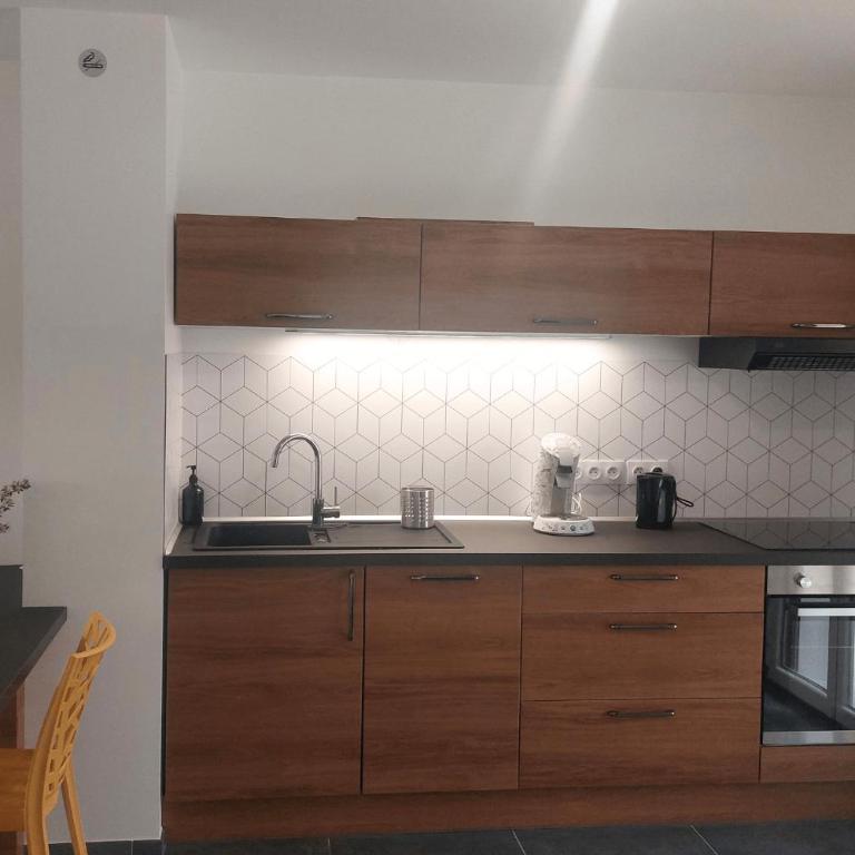 Appartement avec terrasse LO du Lac - Paladru - Appartamento con 1 Camera da Letto - 11