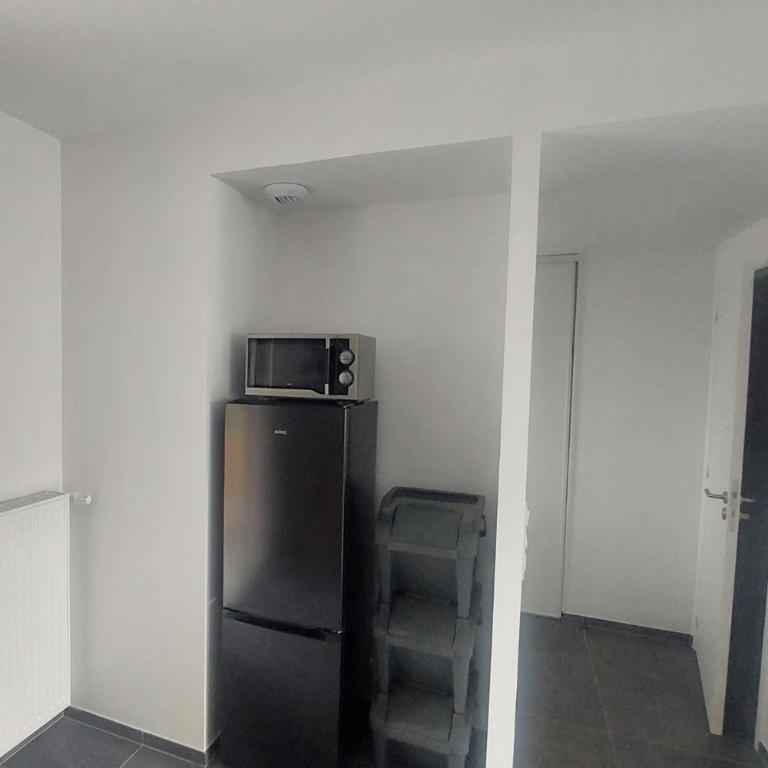 Appartement avec terrasse LO du Lac - Paladru - Appartamento con 1 Camera da Letto - 12