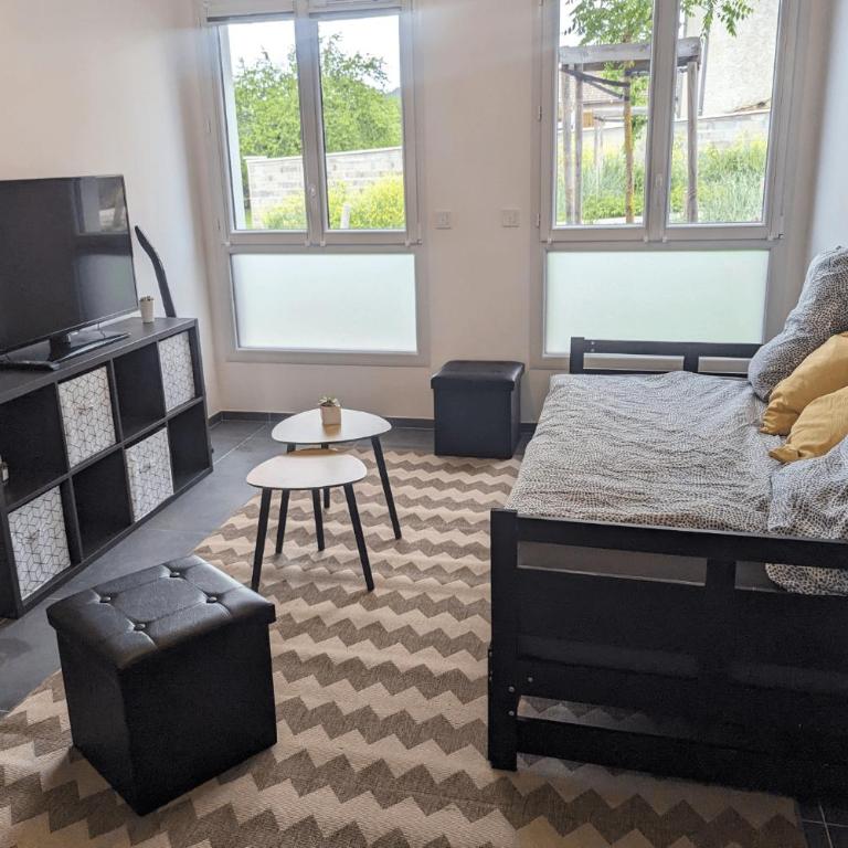Appartement avec terrasse LO du Lac - Paladru - Appartamento con 1 Camera da Letto - 15