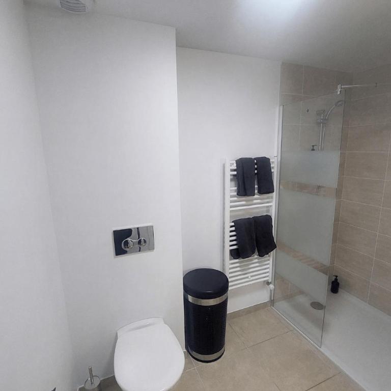 Appartement avec terrasse LO du Lac - Paladru - Appartamento con 1 Camera da Letto - 19