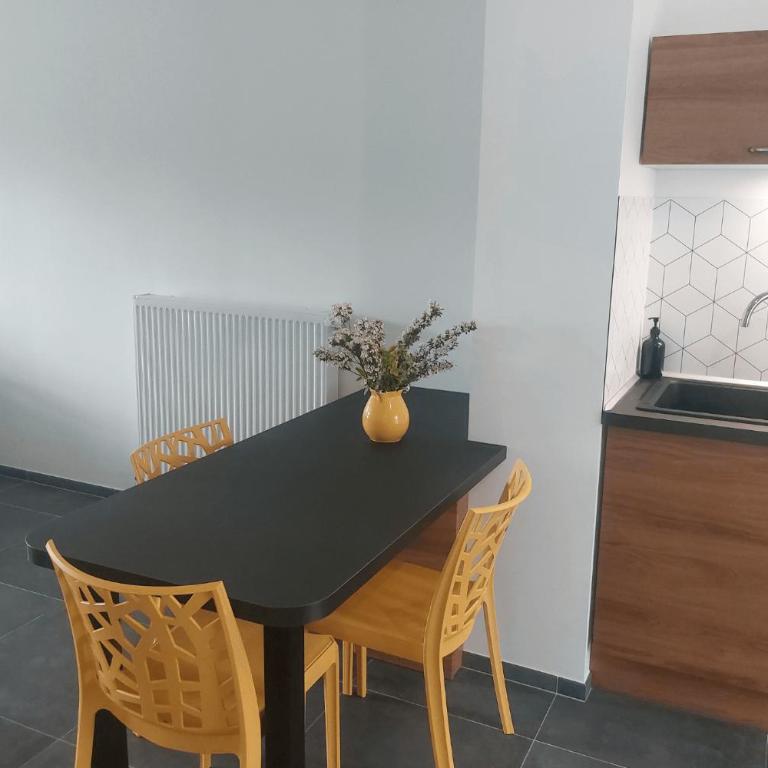 Appartement avec terrasse LO du Lac - Paladru - Appartamento con 1 Camera da Letto - 29