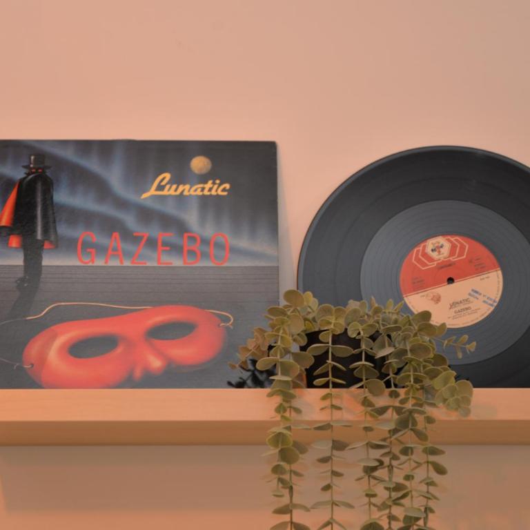 Vinyls' Green Home - Toledo Centro Storico - Appartamento con 2 Camere da Letto - 1