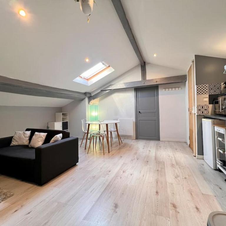 LE CLOS CHASSAING N5-WiFI-CENTRE VILLE-CLIMATISATION - Appartement 1 Chambre - 44