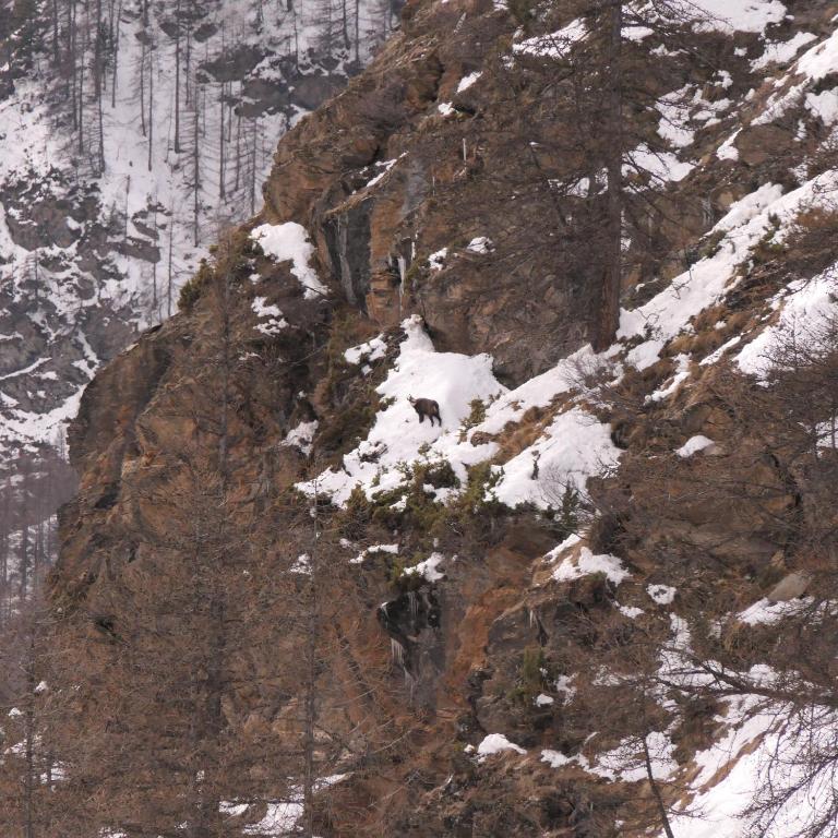 Le grenier du Roux - Appartement 3 Chambres avec Vue sur la Montagne - 19