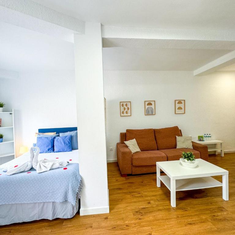 Carvajal Beach - Turistea Suites - Superior Studio - 5