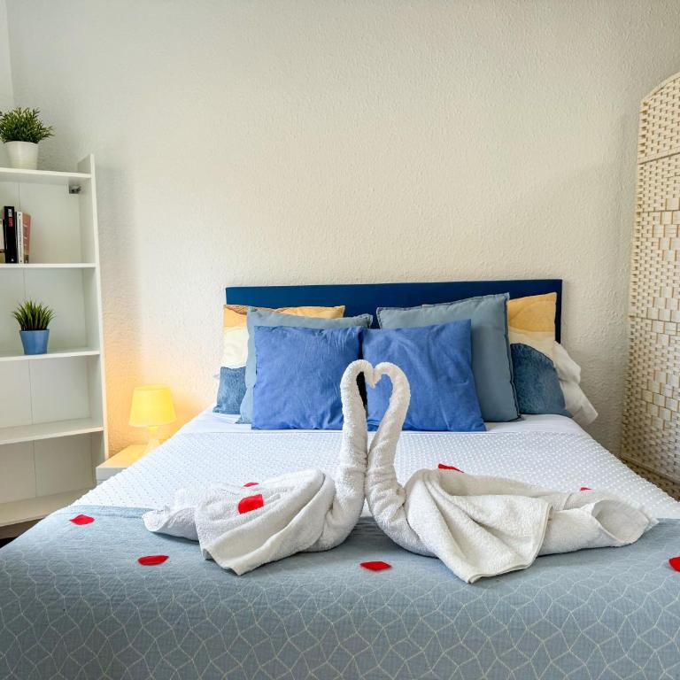 Carvajal Beach - Turistea Suites - Superior Studio - 3
