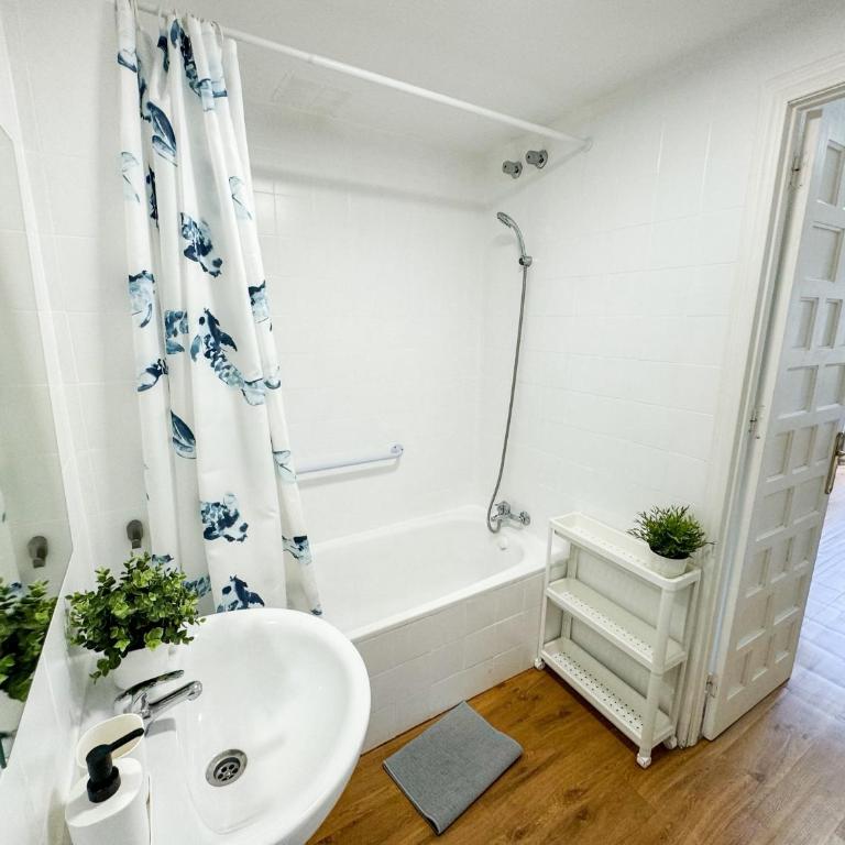 Carvajal Beach - Turistea Suites - Superior Studio - 14