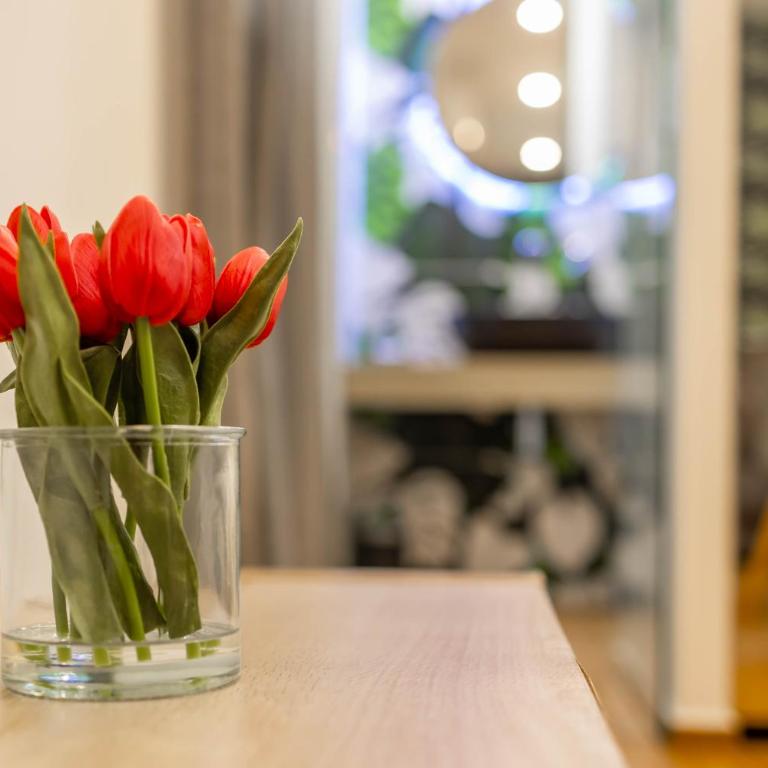 [Wanderlust289] Appartamento in centro a Bari - Appartamento con 1 Camera da Letto - 31