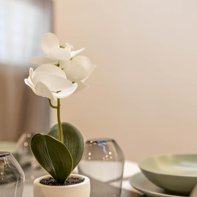 [Wanderlust289] Appartamento in centro a Bari - Appartamento con 1 Camera da Letto - 29