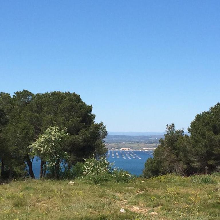 Bel Appartement T4 à Sète avec Terrasse, Climatisation et Parking Privé - FR-1-338-571 - Apartment - 4