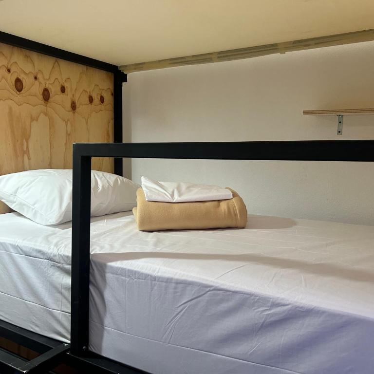 Casa Columpio - Bed in 4-Bed Mixed Dormitory Room - 5