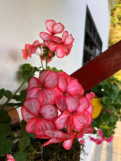 Desconéctate! Casa de campo con vista sensacional !!! - Three-Bedroom Villa - 45