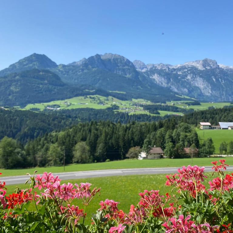 Apartmenthaus Oberlehen - Apartamento de 1 dormitorio - 2