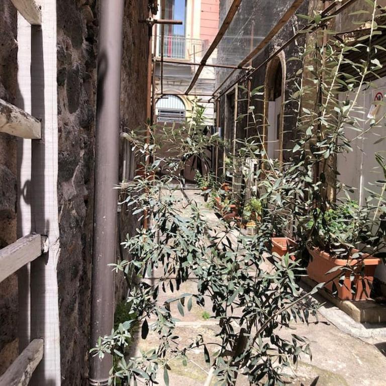 Suite Vicolo Lavico - Two-Bedroom Superior Apartment - 2