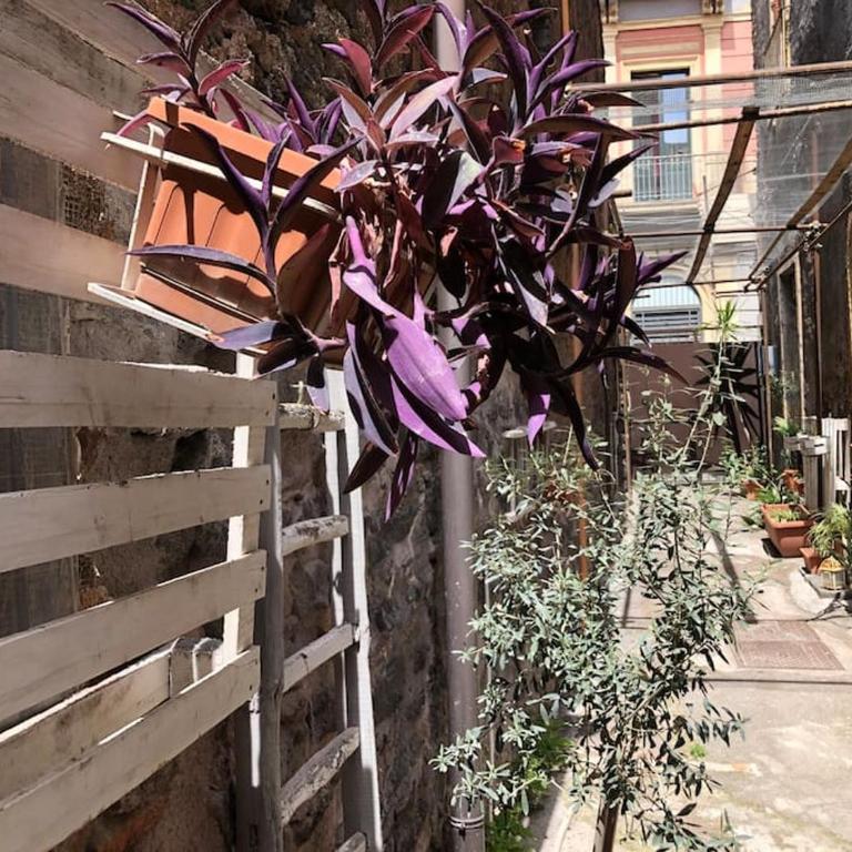 Suite Vicolo Lavico - Two-Bedroom Superior Apartment - 35