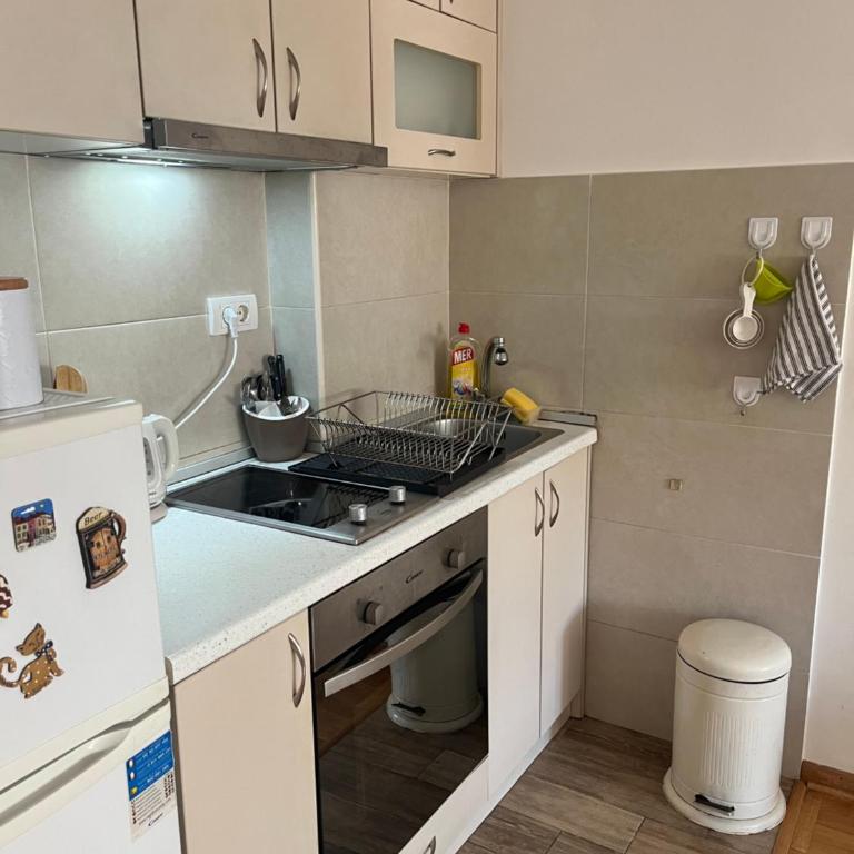 Studio Bulevar - Apartman sa 1 Spavaćom Sobom - 9