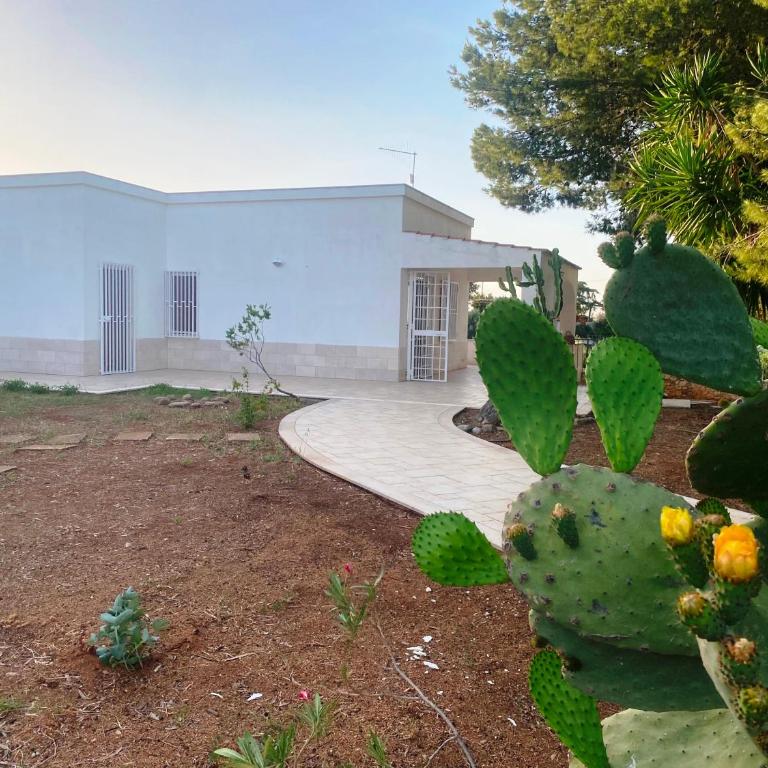 Villa Falesia, Capitolo, Monopoli - Casa con 3 Camere da Letto - 8
